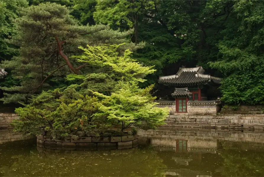 neoskytravel-seoul_south-korea-img (1)